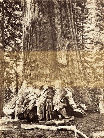 (TRAVEL--CARLETON WATKINS, WILLIAM HENRY JACKSON) An album titled America with more than 100 photographs, including 4 credited to Carle